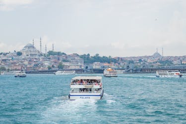 Visite privée des joyaux d’Istanbul